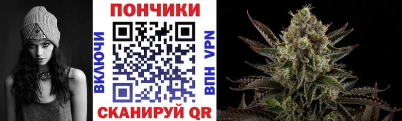 mega зеркало  как найти наркотики  Сурск  Канабис индика 